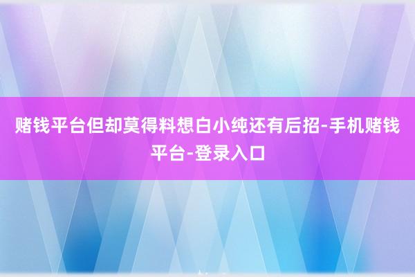 赌钱平台但却莫得料想白小纯还有后招-手机赌钱平台-登录入口