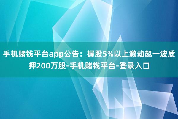手机赌钱平台app公告：握股5%以上激动赵一波质押200万股-手机赌钱平台-登录入口