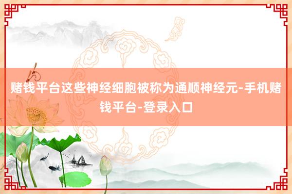 赌钱平台这些神经细胞被称为通顺神经元-手机赌钱平台-登录入口