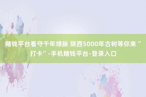 赌钱平台看守千年绿脉 陕西5000年古树等你来“打卡”-手机赌钱平台-登录入口