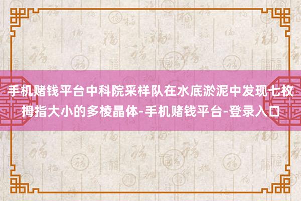 手机赌钱平台中科院采样队在水底淤泥中发现七枚拇指大小的多棱晶体-手机赌钱平台-登录入口
