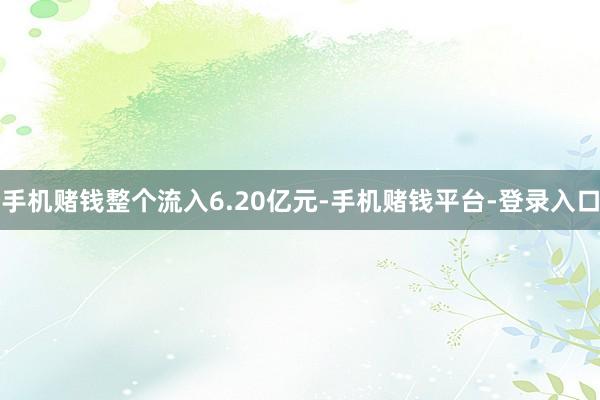 手机赌钱整个流入6.20亿元-手机赌钱平台-登录入口