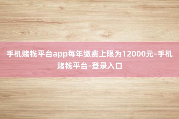 手机赌钱平台app每年缴费上限为12000元-手机赌钱平台-登录入口