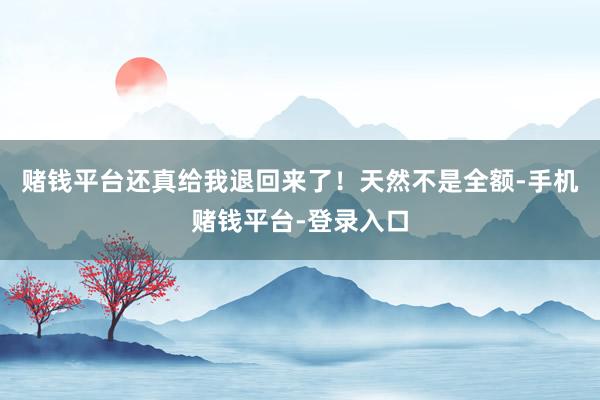 赌钱平台还真给我退回来了！天然不是全额-手机赌钱平台-登录入口