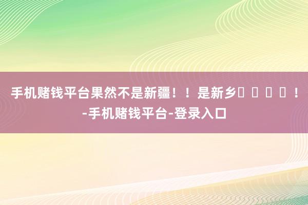 手机赌钱平台果然不是新疆！！是新乡❄️❄️！-手机赌钱平台-登录入口