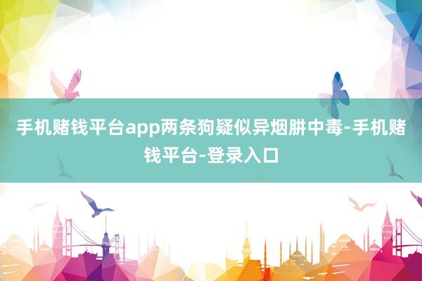 手机赌钱平台app两条狗疑似异烟肼中毒-手机赌钱平台-登录入口