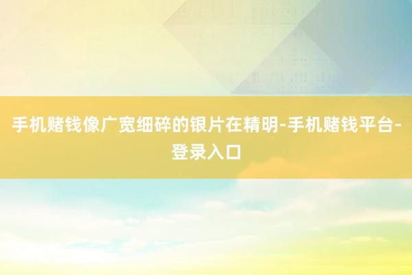手机赌钱像广宽细碎的银片在精明-手机赌钱平台-登录入口
