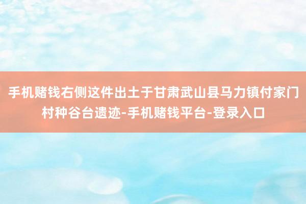 手机赌钱右侧这件出土于甘肃武山县马力镇付家门村种谷台遗迹-手机赌钱平台-登录入口