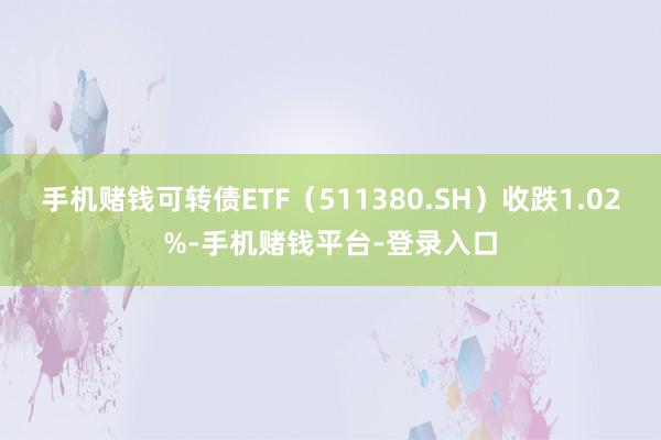 手机赌钱可转债ETF（511380.SH）收跌1.02%-手机赌钱平台-登录入口