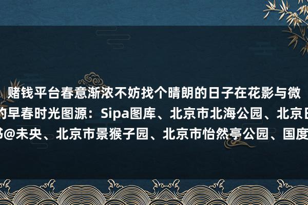 赌钱平台春意渐浓不妨找个晴朗的日子在花影与微风之间感受属于北京的早春时光图源：S