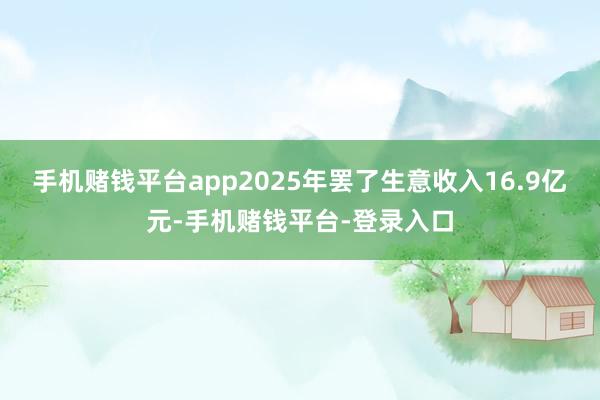 手机赌钱平台app2025年罢了生意收入16.9亿元-手机赌钱平台-登录入口