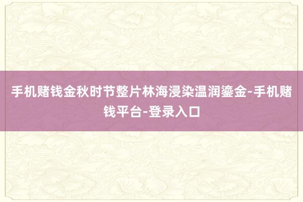 手机赌钱金秋时节整片林海浸染温润鎏金-手机赌钱平台-登录入口